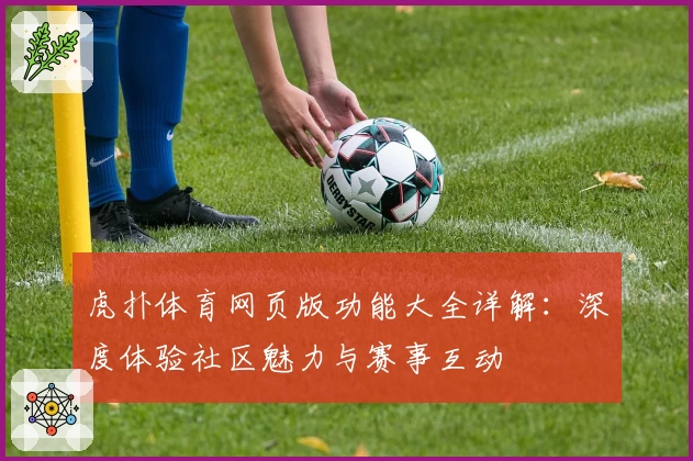 虎扑体育网页版功能大全详解：深度体验社区魅力与赛事互动