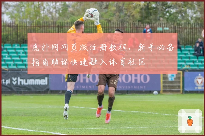 虎扑网网页版注册教程，新手必备指南助你快速融入体育社区