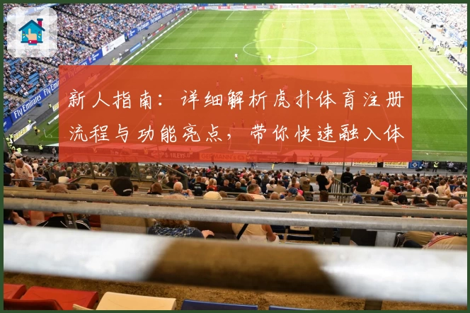 新人指南：详细解析虎扑体育注册流程与功能亮点，带你快速融入体育社区